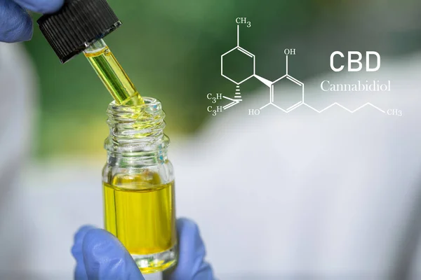 Cbd Elementen Cannabis Druppel Doseren Van Een Biologische Ecologische Hennep — Stockfoto