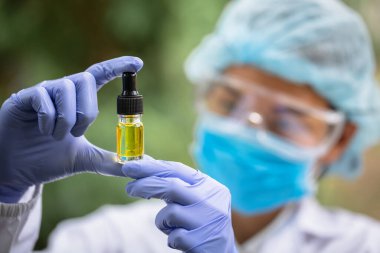  Doktor elinde bir şişe kenevir yağı, kenevir yaprağı, cbd ve haşhaş yağı, alternatif ilaç ya da ilaç konsepti içeren tıbbi marihuana ürünleri tutuyor..