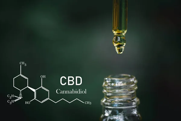Cbd Chemical Formula 緑のマリファナの葉の背景に瓶から生物学的および生態学的麻植物漢方薬のCbd油を投与する液滴 医療大麻の概念 — ストック写真