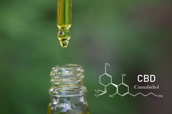 Formula Cbd Cannabidiol Droplet Dosing Biological Ecological Hemp Plant Herbal — Stock Photo, Image