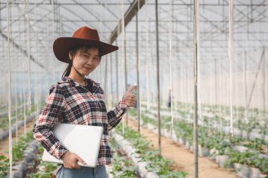 Asyalı kadın çiftçi araştırma için tablet ve defter kullanıyor ve seradaki kavun ağacının kalitesini kontrol ediyor..