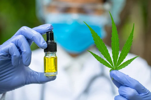 Doctor Holding Bottle Hemp Oil Medical Marijuana Products Including Cannabis — Stock Photo, Image