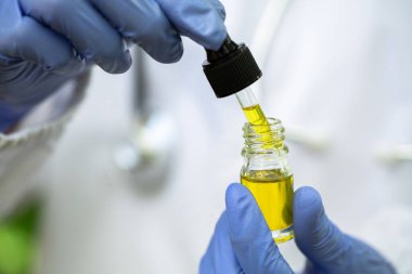 Pipette bir şişe kenevir yağı, doğal ot, tıbbi marihuana konsepti, CBD kenevir yağı. CBD kenevir yağı ürünü, cannabinoidler ve sağlık.