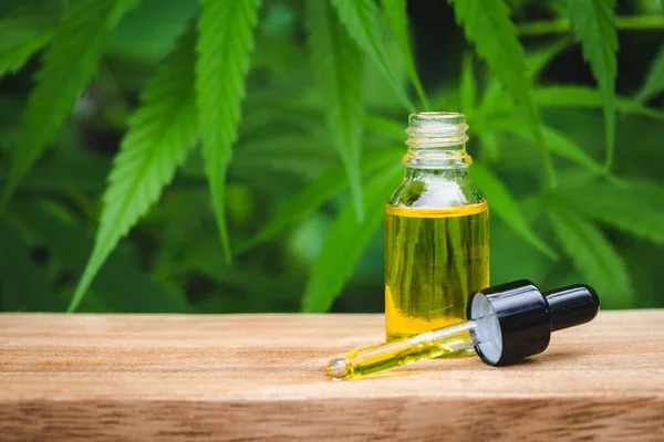 Cbd Oil Hemp Products Medical Cannabis Concept — Stock Photo, Image