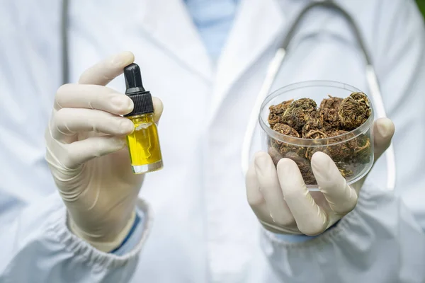 Docteur Tenant Une Bouteille Huile Chanvre Offrant Patient Marijuana Médicale — Photo