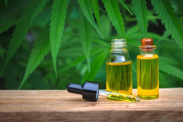 Cbd Oil Hemp Products Cbd Oil Cannabis Extract Medical Cannabis — Stock Photo, Image