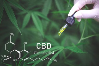 Esrar yağı, CBD petrol kenevir özü, Tıbbi esrar kavramı,
