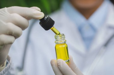 CBD kenevir yağı, marihuana bitkisine karşı bir şişe kenevir yağı. Bitkisel Tedavi, Alternatif Tıp