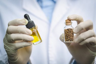 Bilimadamı kenevir yağı özütlerini analiz ediyor ve araştırıyor, bitkisel alternatif tıp kavramı, cbd kenevir yağı, ilaç endüstrisi.