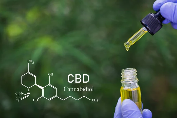 Formule Cbd Cannabidiol Wetenschapper Voert Experimenten Uit Door Verbindingen Synthetiseren — Stockfoto