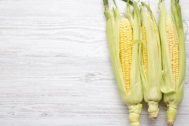 Yeşil kabuğu, en iyi görünümü ile üzerinde taze mısır. Yukarıdan. Kopya alanı.