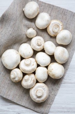 Üstten görünüm champignon mantar. Yukarıdan, ek yükü göster. 