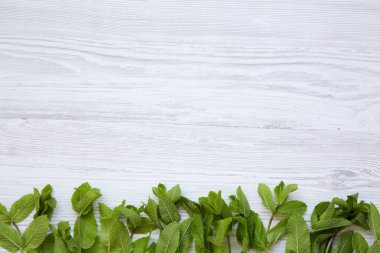 Beyaz ahşap zemin üzerinde taze nane. Boşluk ve metin alanı Kopyala.