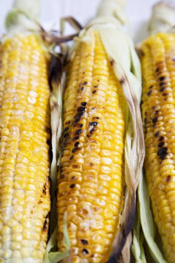 Izgara Mısır, portre. Seçici odak.