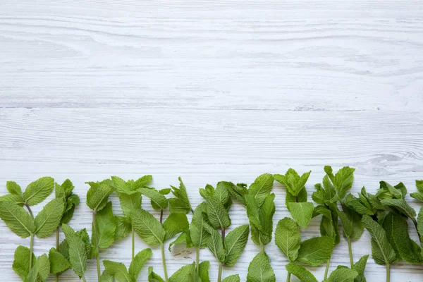 Beyaz ahşap arka planda, üstten görünüm taze nane. Kopya alanı.