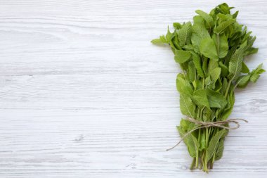 Üstten görünüm, Beyaz ahşap zemin üzerinde taze nane. Kopya alanı, metin alanı.