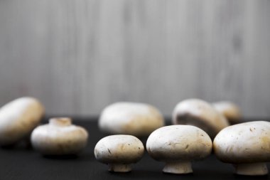 Champignon mantar, yan görünüm. Portre. 