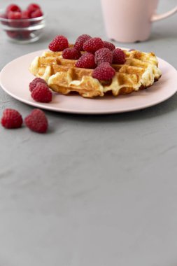 Ahududu gri arka, yan görünüm üzerinde pembe plaka ile geleneksel Belçika waffle. 