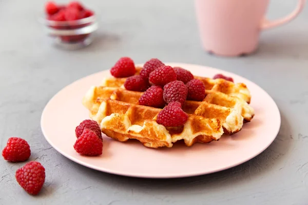 Waffle Tradicional Belgas Com Framboesas Placa Rosa Sobre Fundo Cinza — Fotografia de Stock