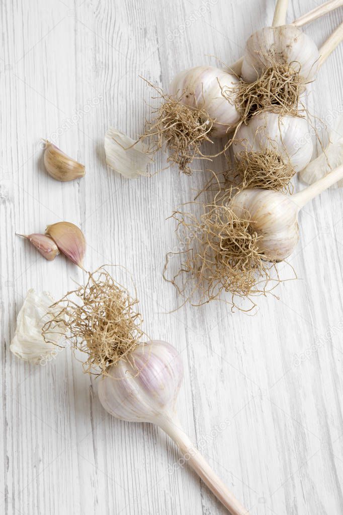 Dried garlic on white wooden table, view from above. Top view, overhead.