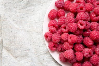 Ahududu bez, üstten görünüm üzerinde pembe bir tabakta. Düz, tepegöz, yukarıdan yatıyordu. Kopya alanı.