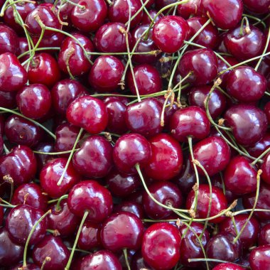 Taze olgun kiraz arka plan, havai görünümü. Yakın çekim.