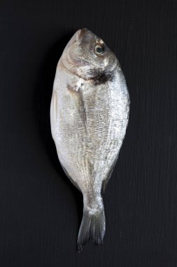 Koyu arka plan, üstten görünüm taze dorado balık. Düz, tepegöz, yukarıdan yatıyordu. Yakın çekim.