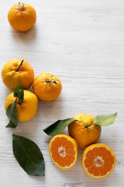 Üstten görünüm taze olgun mandalina Beyaz ahşap zemin üzerinde. Yukarıdan, ek yük düz yatıyordu. Metin için yer.