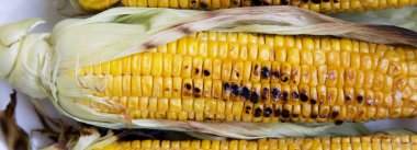 Izgara Mısır, portre. Üstten görünüm, düz-lay, ek yükü.