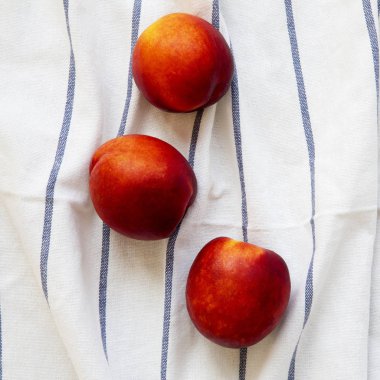 Nektarin çizgili kumaş, havai görünümü üzerine. Gelen yukarıdaki üstten görünüm.