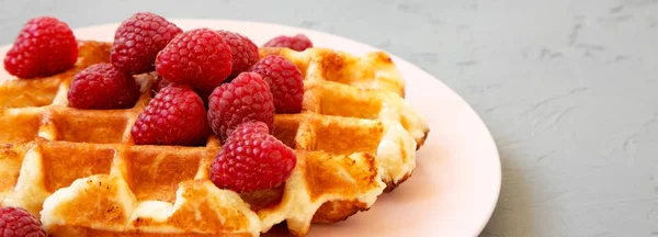 Belgian Waffle Raspberries Pink Plate Concrete Background Side View Closeup — Stock Photo, Image