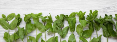 Beyaz ahşap yüzey, en iyi görünüm taze nane. Düz, tepegöz, yukarıdan yatıyordu.