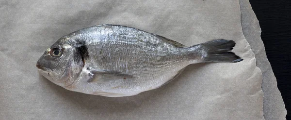 Рыба Дорадо Бумаге Выпечки Черном Фоне Вид Сверху Плоский Сверху — стоковое фото