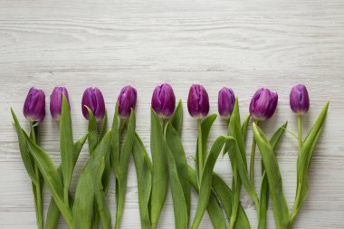 Mor laleler Beyaz ahşap arka planda, üstten görünüm. Düz, Tepegöz, yukarıdan yatıyordu. Kopya alanı.