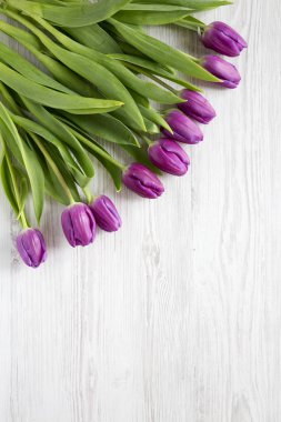 Üstten Görünüm, mor laleler Beyaz ahşap yüzey üzerinde. Düz, Tepegöz, yukarıdan yatıyordu. Kopya alanı.