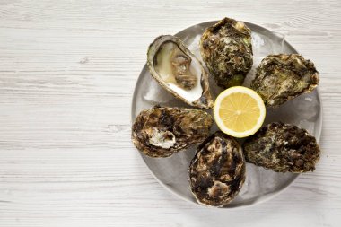 Beyaz ahşap zemin üzerinde gri plaka üzerinde buz üzerinde taze istiridye,