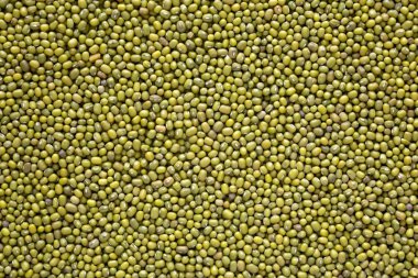 Raw green mung beans texture, close-up. clipart