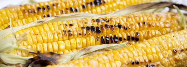 Grilled corn on the cob, side view. Close-up.