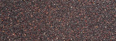 Glutensiz ham organik siyah Quinoa, yakın çekim.