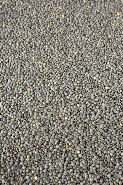 Kuru yeşil fransız mercimek, yan görünüm. Close.