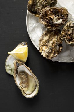 Siyah arka plan üzerinde taze istiridye, üst görünümü. Tepede, ab'den