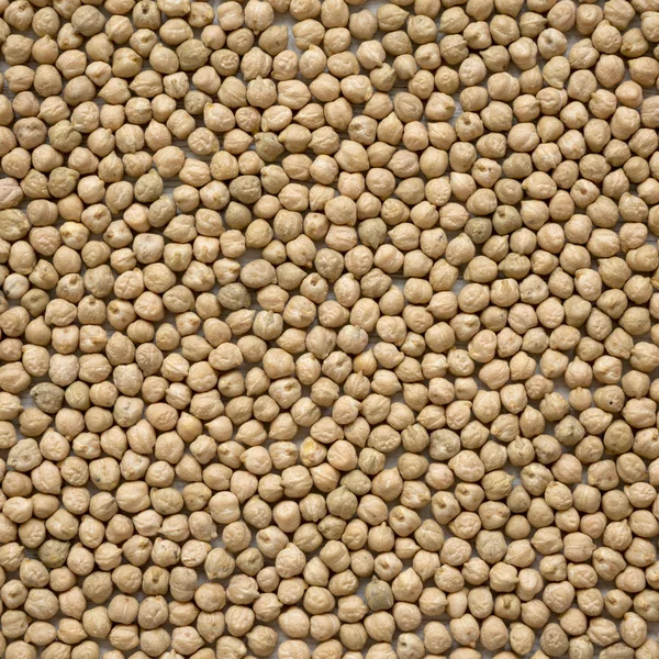 乾燥したひよこ豆の背景。フラットレイ. — ストック写真