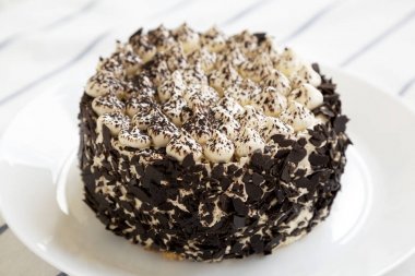 Beyaz bir tabak, düşük açı görünümü nde bir tiramisu kek. Close.