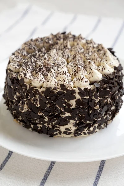 Un pastel de tiramisú en un plato blanco, vista de ángulo bajo. Primer plano. . — Foto de Stock