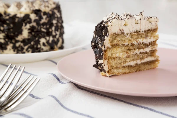 Ein Stück Tiramisu-Kuchen auf einem rosa Teller, Seitenansicht. Nahaufnahme. — Stockfoto