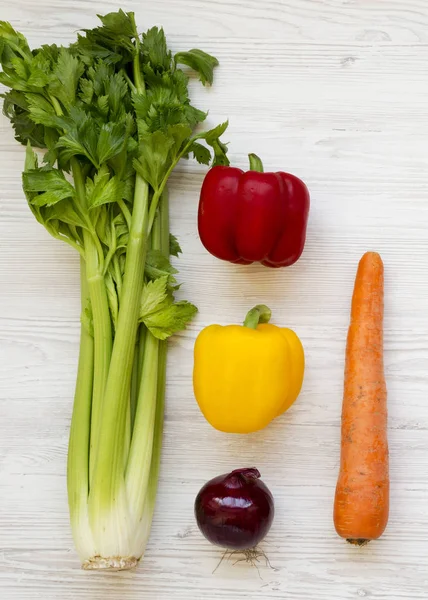 Verduras frescas (zanahoria, apio, cebolla, pimientos de colores) en una w — Foto de Stock