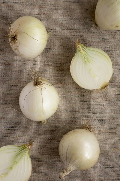 Raw white onions on cloth, overhead view. Flat lay, top view, fr