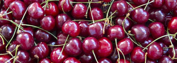 Fondo fresco de cerezas maduras, vista aérea. plano laico, superior vie — Foto de Stock