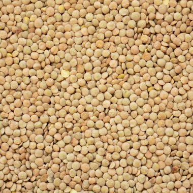 Organik yeşil mercimek doku, üst görünümü. Close.