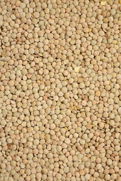 Organik yeşil mercimek arka plan, üst görünümü. Close.